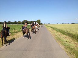img_2246_web